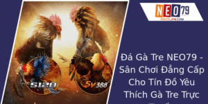 A Ga Tre Neo79 San Choi Ang Cap Cho Tin O Yeu Thich Ga Tre Truc Tuyen