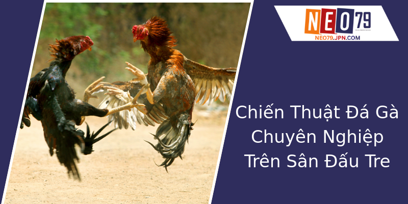 Chiến Thuật Đá Gà Chuyên Nghiệp Trên Sân Đấu Tre Chiến Thuật Đá Gà Chuyên Nghiệp Trên Sân Đấu Tre