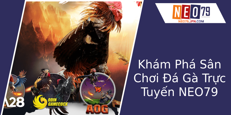 Khám Phá Sân Chơi Đá Gà Trực Tuyến NEO79 Khám Phá Sân Chơi Đá Gà Trực Tuyến NEO79