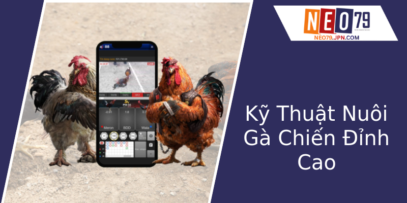 Kỹ Thuật Nuôi Gà Chiến Đỉnh Cao Kỹ Thuật Nuôi Gà Chiến Đỉnh Cao