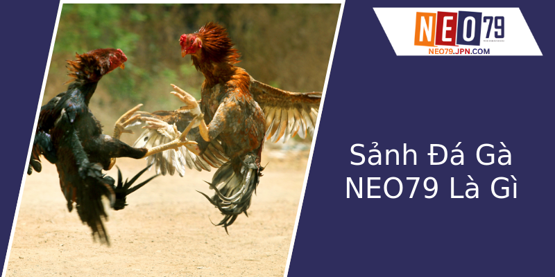 Sảnh Đá Gà NEO79 Là Gì Sảnh Đá Gà NEO79 Là Gì